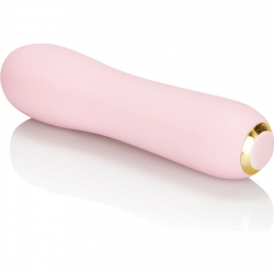 INSPIRE VIBRADOR GIRATORIO