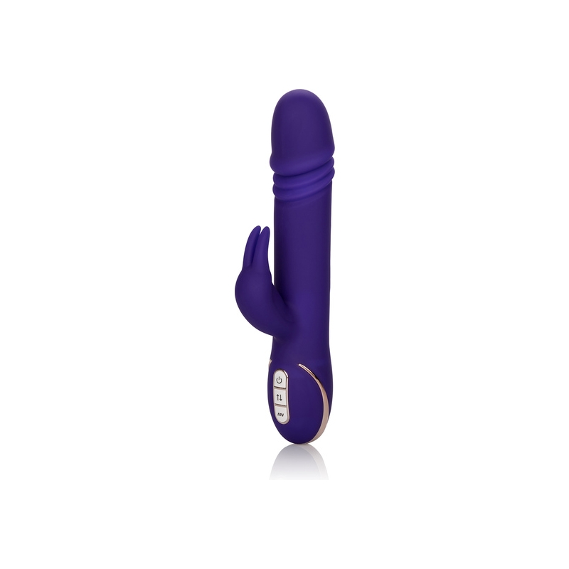 JACK RABBIT SIGNATURE MORADO