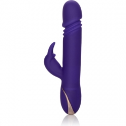 JACK RABBIT SIGNATURE MORADO