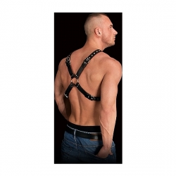 ADONIS - HIGH HALTER - NEGRO