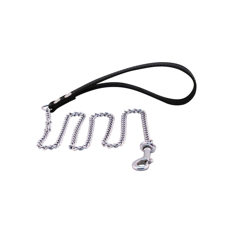 MISTER B PUPPY LEASH CHAIN