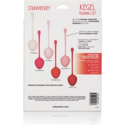 KEGEL TRAINING SET FRESA