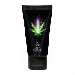 CBD LUBRICANTE CON BASE DE AGUA 50ML