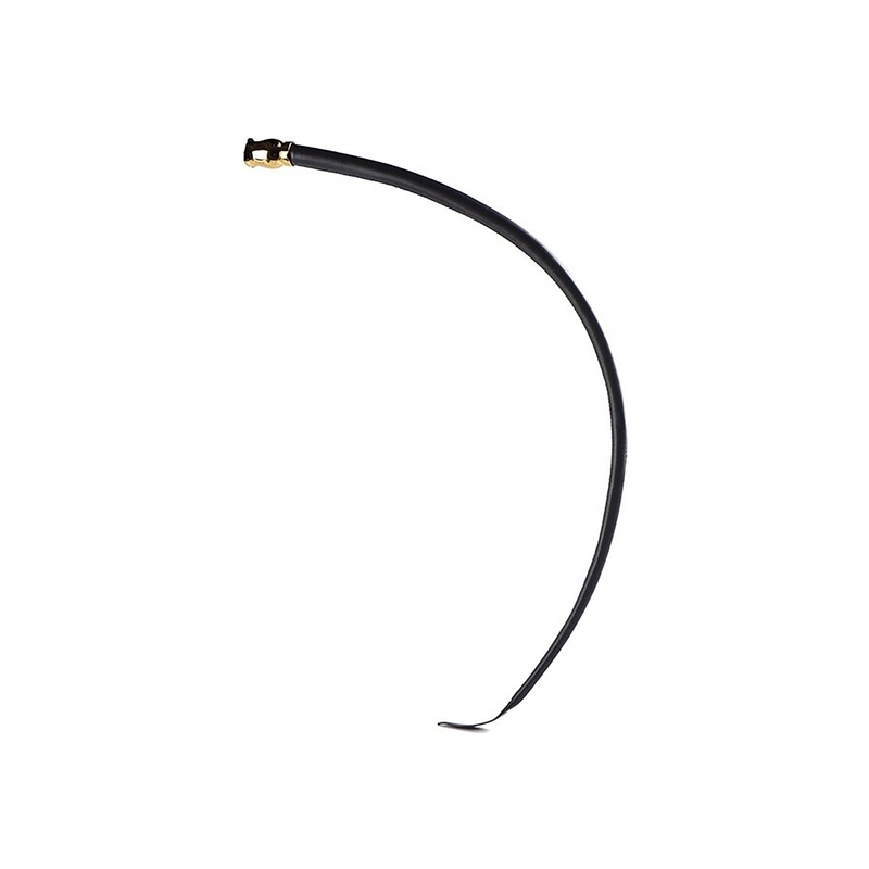 ZALO LATIGO CUERO ELEGANTE