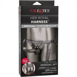 THE ROYAL SENSUAL SET - GRIS