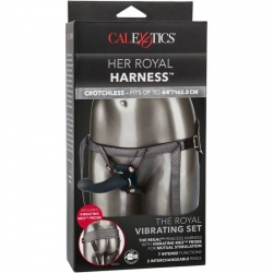 THE ROYAL VIBRATING SET - ARNÉS CON DILDO VIBRADOR GRIS