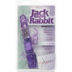 PETITE JACK RABBIT MORADO